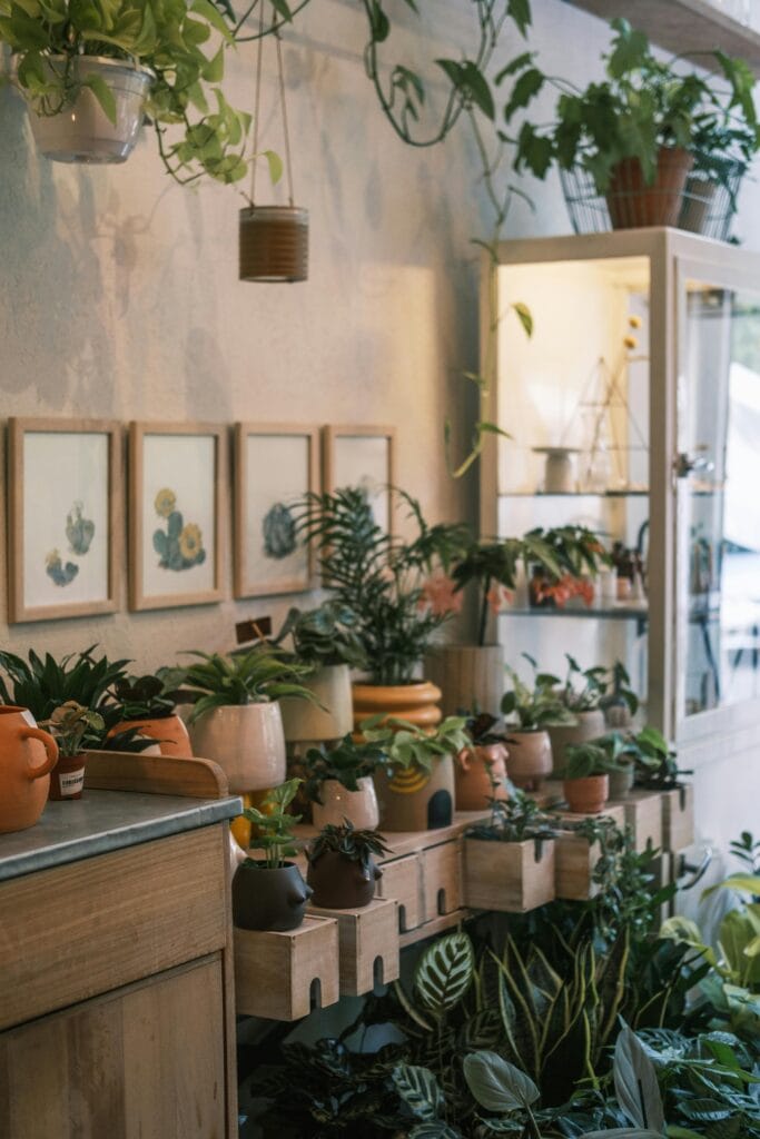 Levar o verde para dentro de casa é uma das maneiras mais simples e eficazes de transformar o ambiente. Plantas purificam o ar, reduzem o estresse, aumentam a umidade e adicionam charme à decoração. No entanto, para quem vive em apartamentos ou tem pouca luz natural, escolher as espécies certas é essencial.
