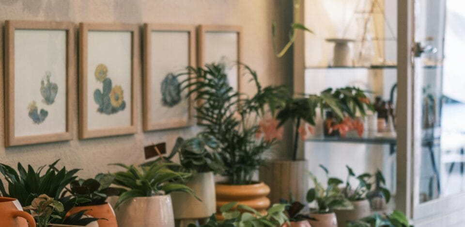 Levar o verde para dentro de casa é uma das maneiras mais simples e eficazes de transformar o ambiente. Plantas purificam o ar, reduzem o estresse, aumentam a umidade e adicionam charme à decoração. No entanto, para quem vive em apartamentos ou tem pouca luz natural, escolher as espécies certas é essencial.