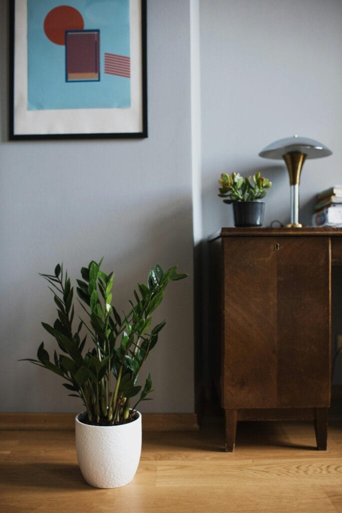Levar o verde para dentro de casa é uma das maneiras mais simples e eficazes de transformar o ambiente. Plantas purificam o ar, reduzem o estresse, aumentam a umidade e adicionam charme à decoração.